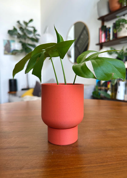 Tall self-watering planter